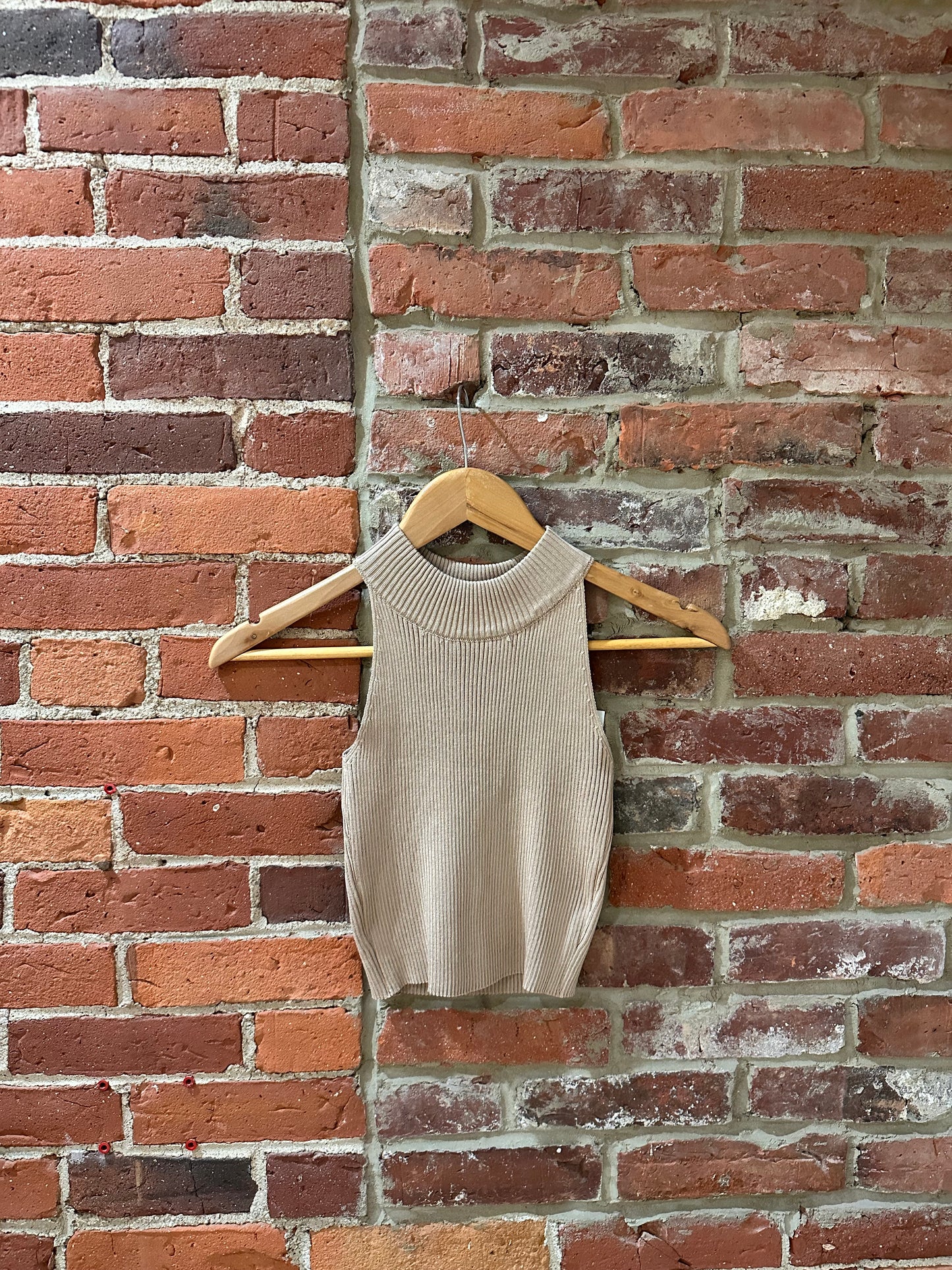Halter Neck Cropped Top