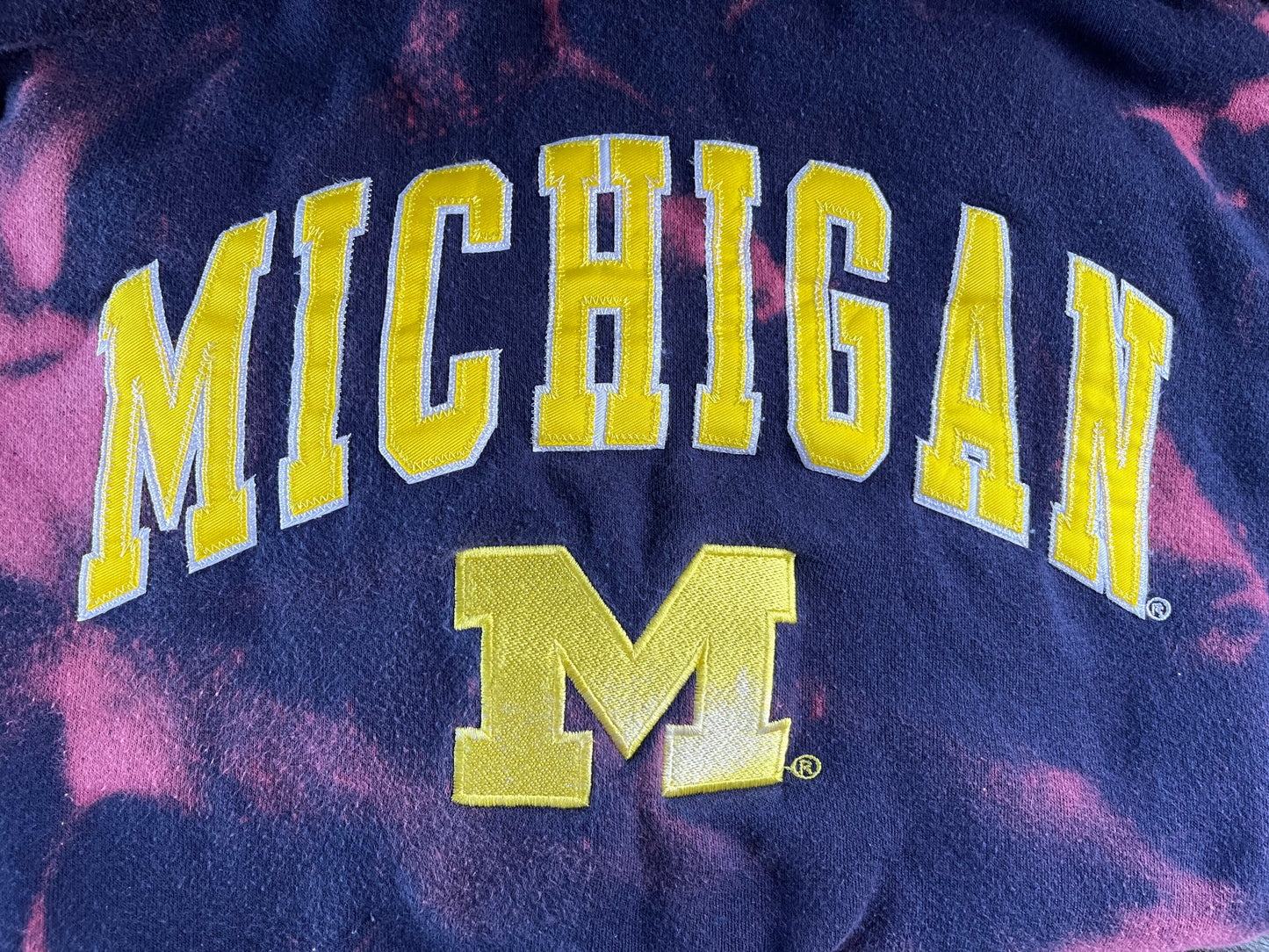 Michigan Hoodie