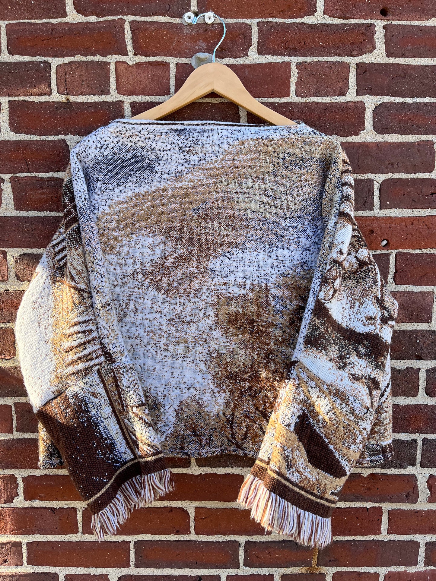 Winter Scene Swanket