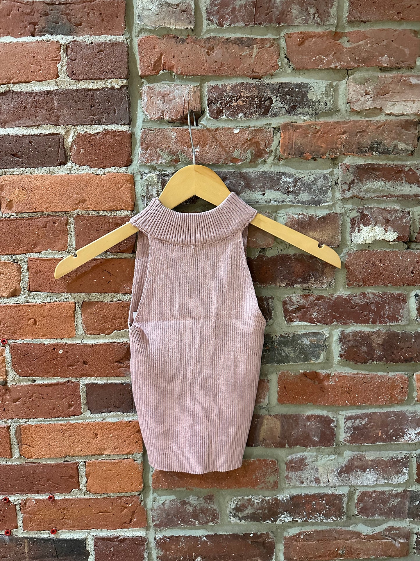 Halter Neck Cropped Top