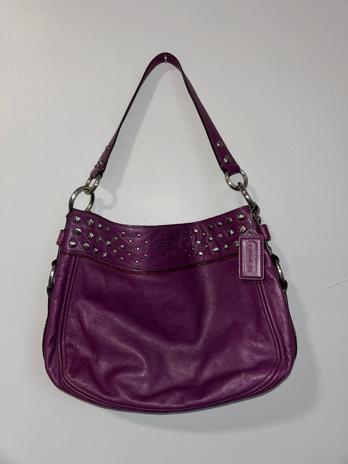 Coach Zoe Studded Hobo