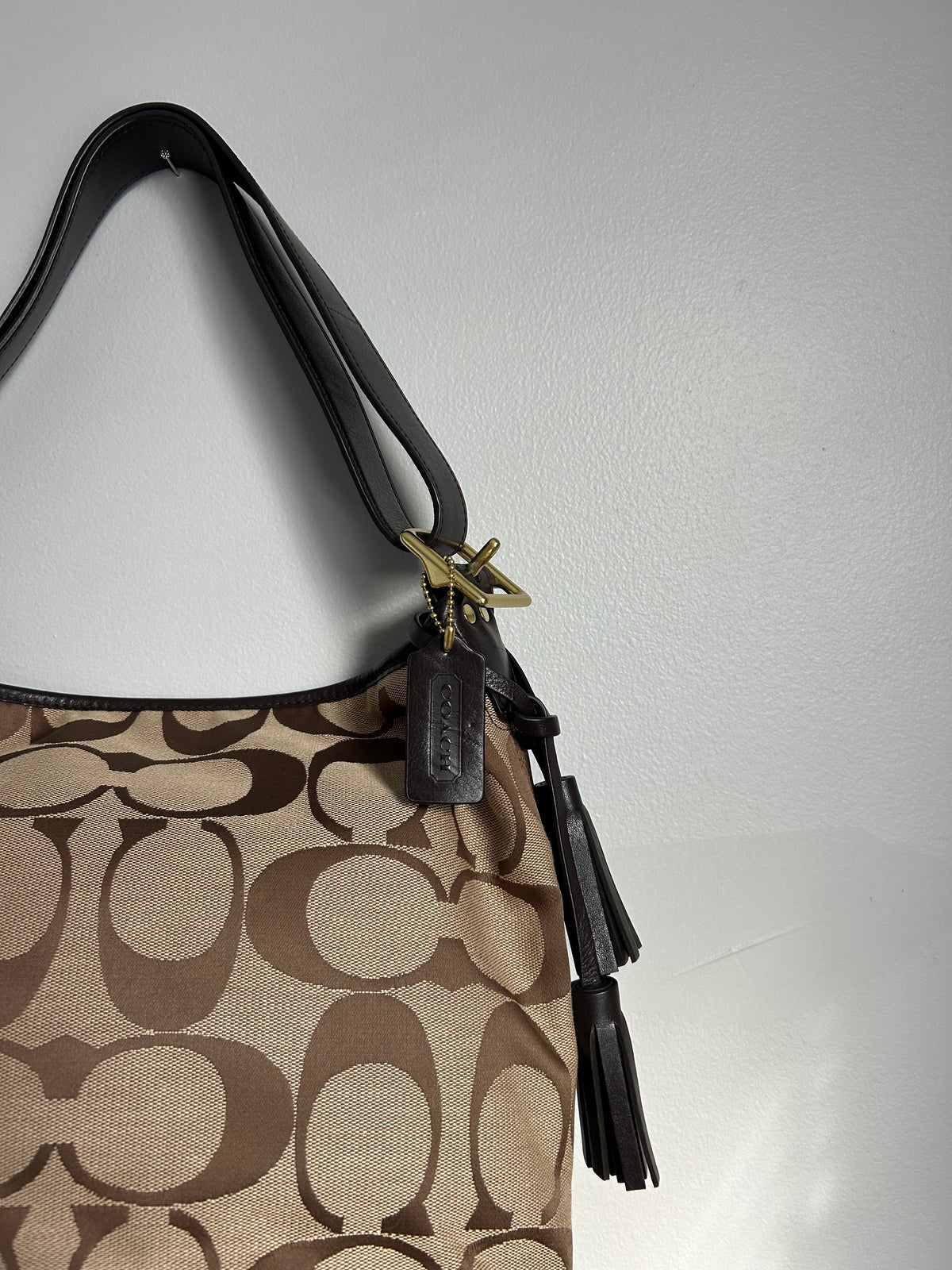 Coach Signature Hobo Bag