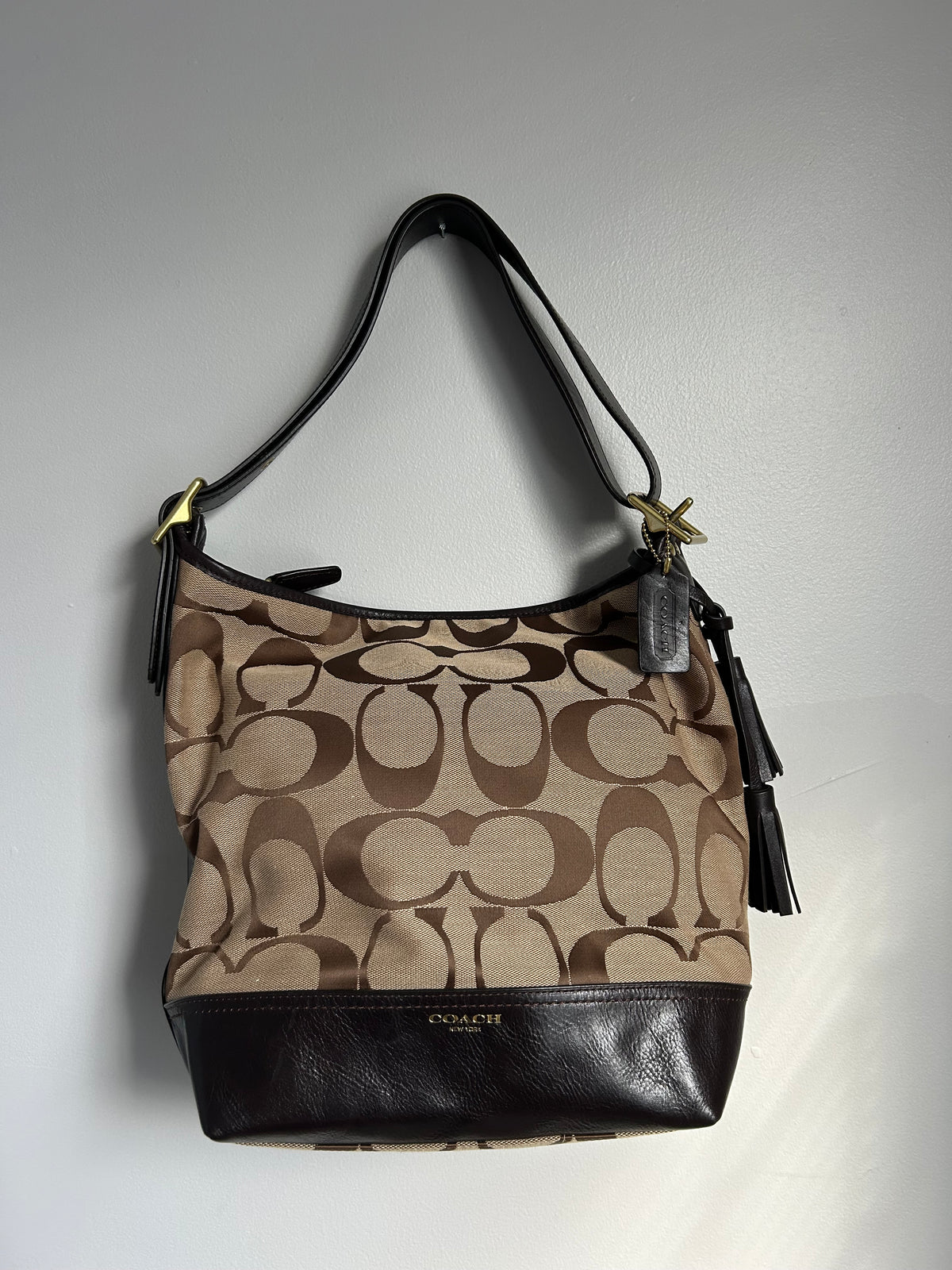 Coach Signature Hobo Bag
