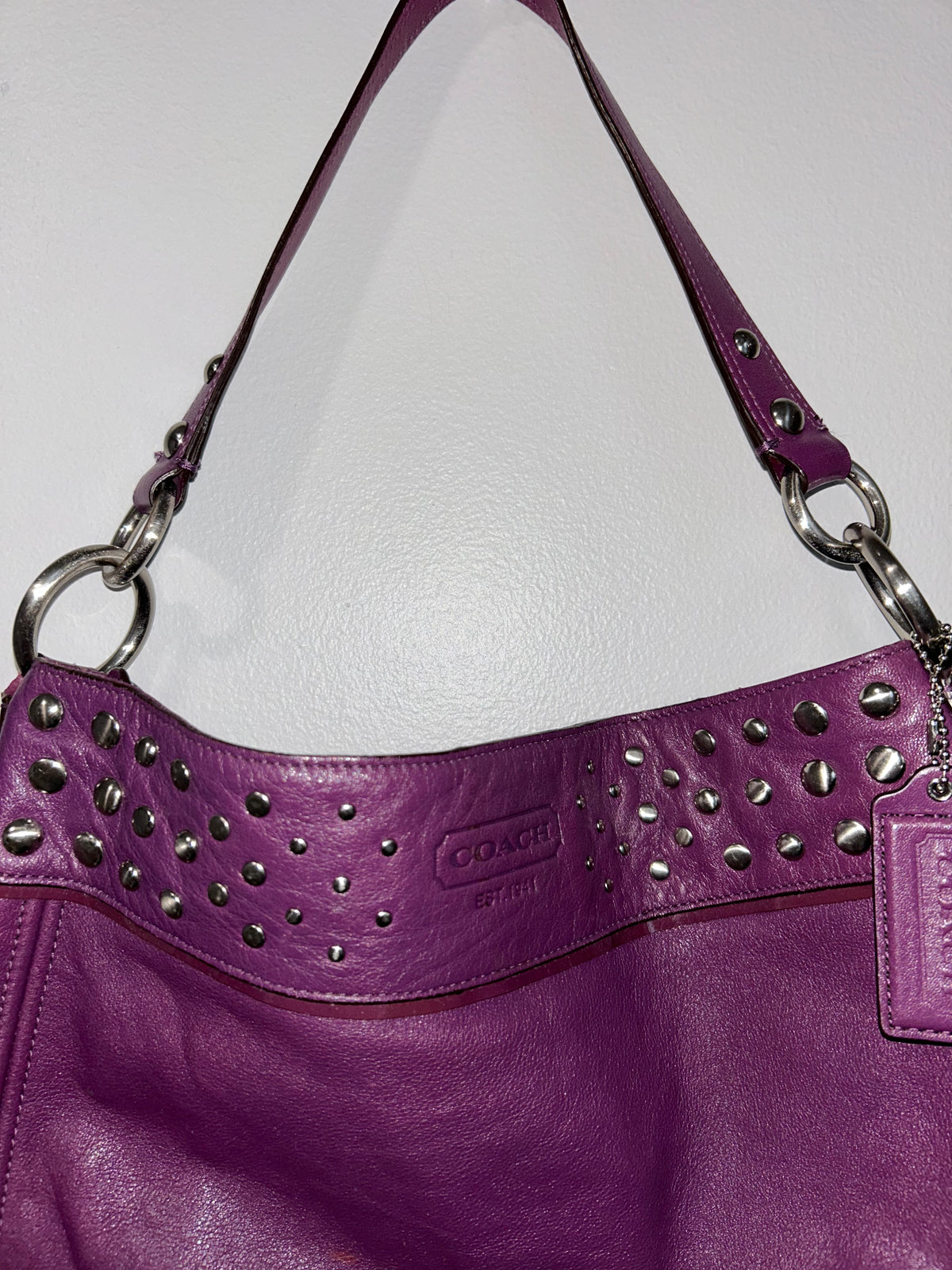 Coach Zoe Studded Hobo