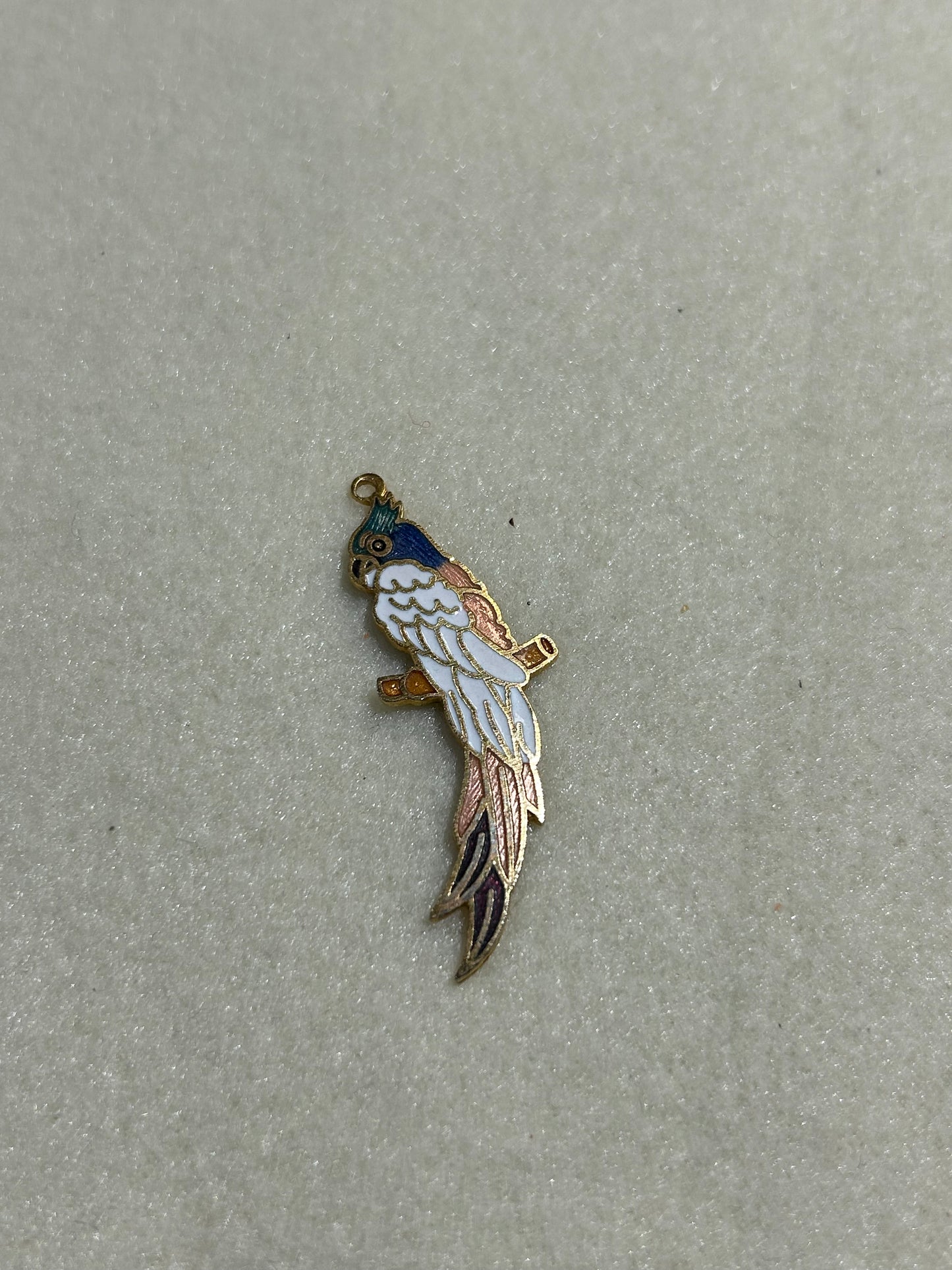 Parrot  Charm