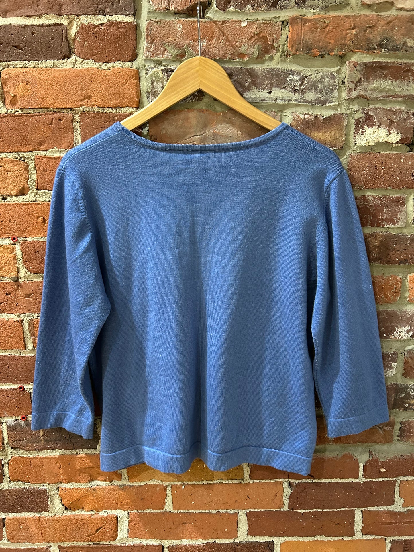 Blue Sweater